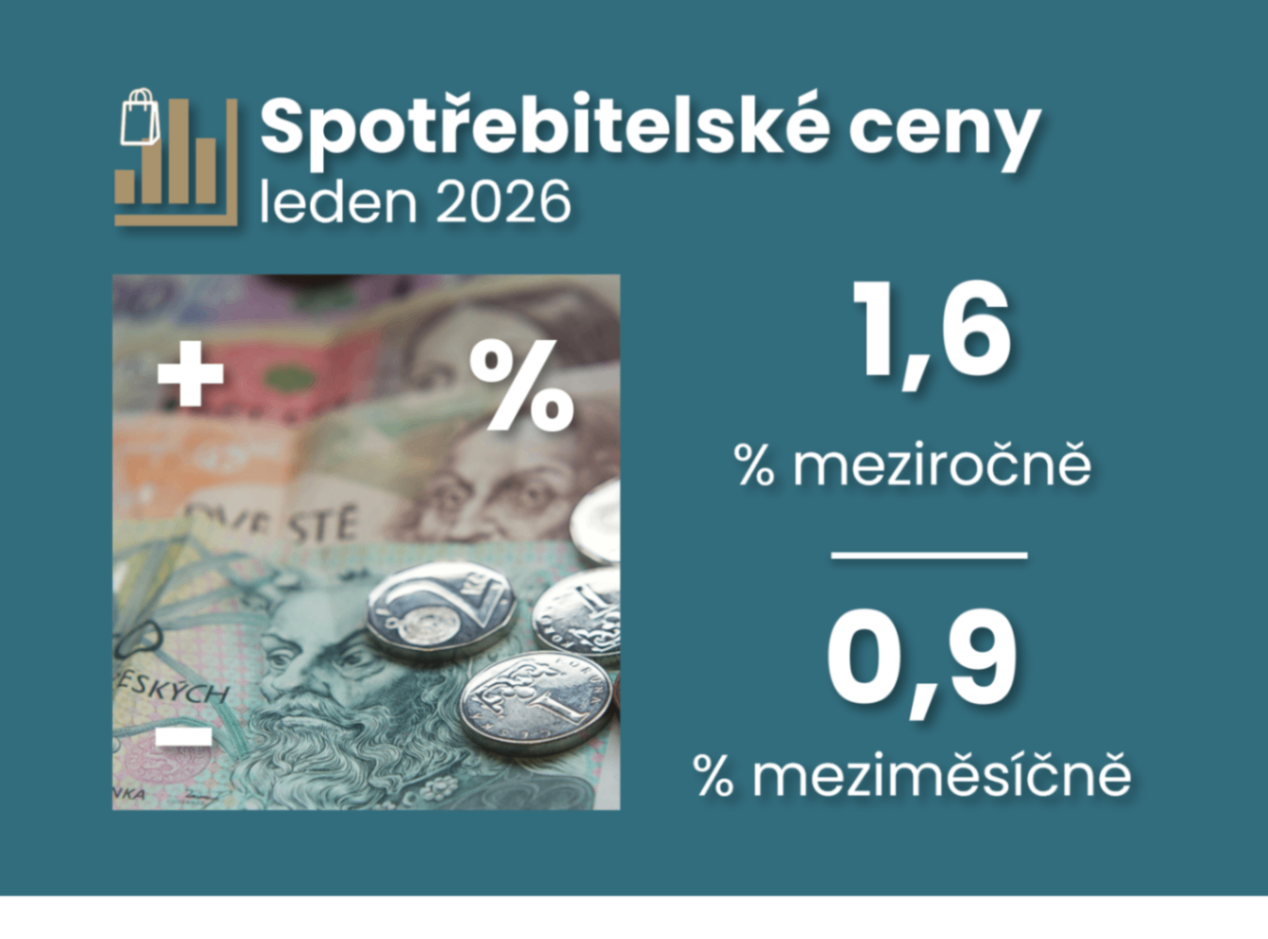 Levnější elektřina zkreslila inflační obrázek, zatímco jádro zůstává silné ilustrační foto